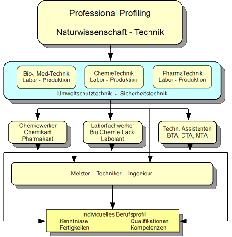 Professional-Profiling: Tätigkeitsbereiche und Berufsebenen